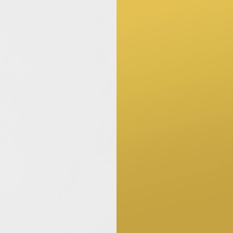 Elsa - 2 Door Wood Storage Accent Cabinet - White And Gold