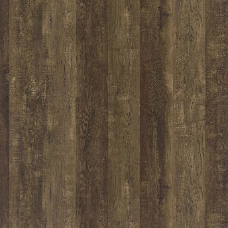 Harlie - 2 Door Wine Cabinet - Oak