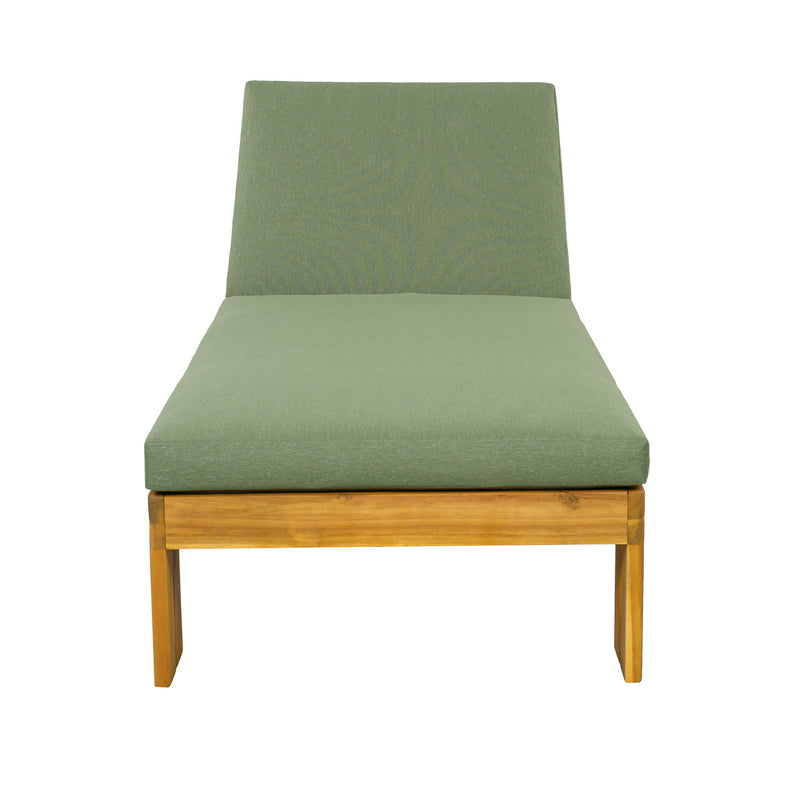 Outdoor Chaise Lounge With 5 Position Adjustable Backrest