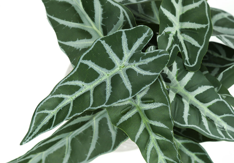 Artificial Alocasia Plant (Set of 2)