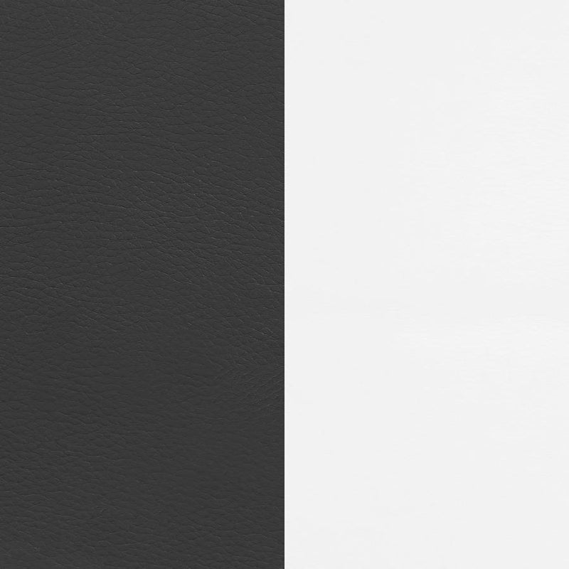 Dustin - Upholstered Adjustable Home Office Desk Chair - Black