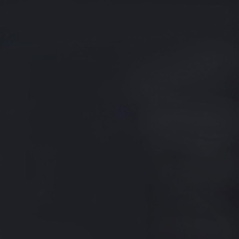 Damis - 3-Panel Room Divider Folding Shoji Screen - Black