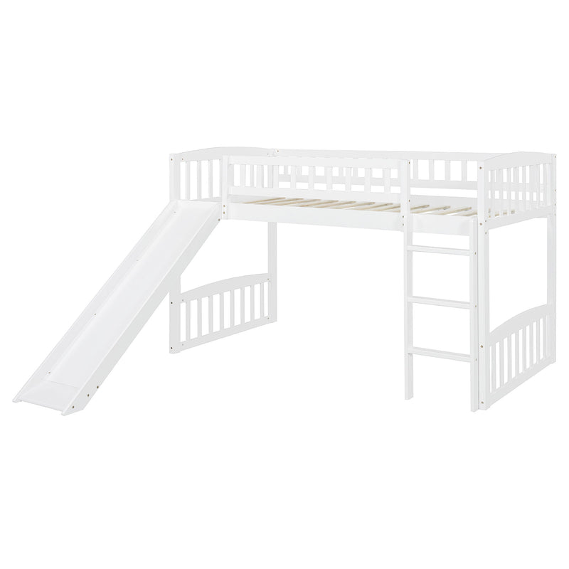 Loft Bed With Slide And Ladder