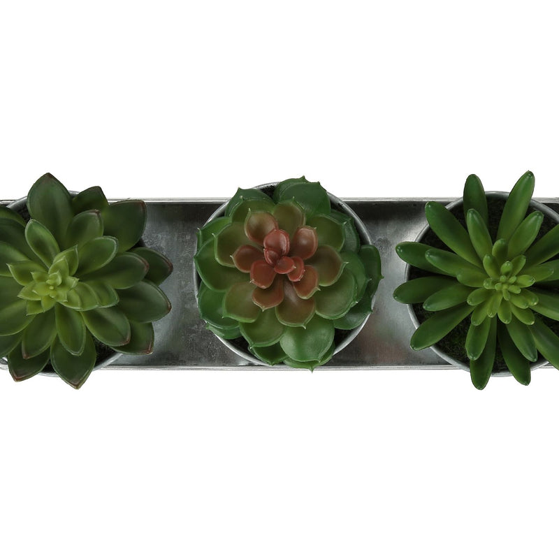 Artificial Succulent, Table Decor (Set of 3) - Green