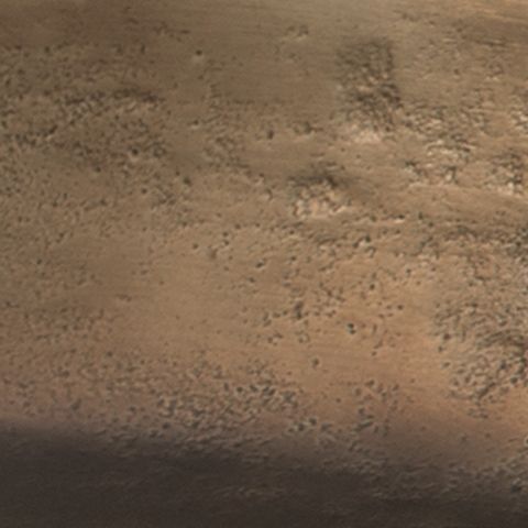 Wallmen - Tray - Champagne Gold Finish