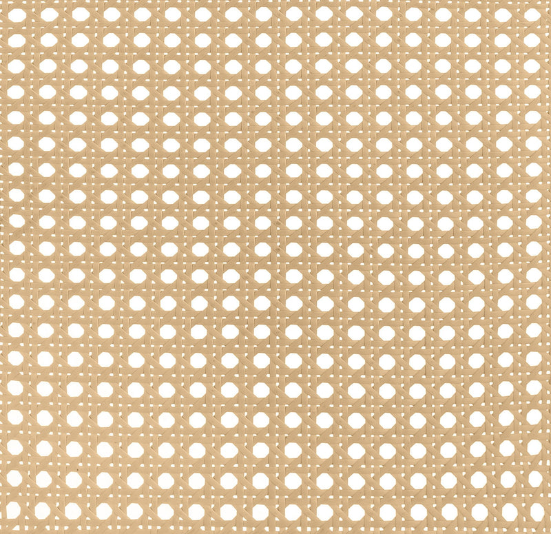 Lanewood Open Cane Webbing Metal Eastern King Bed White