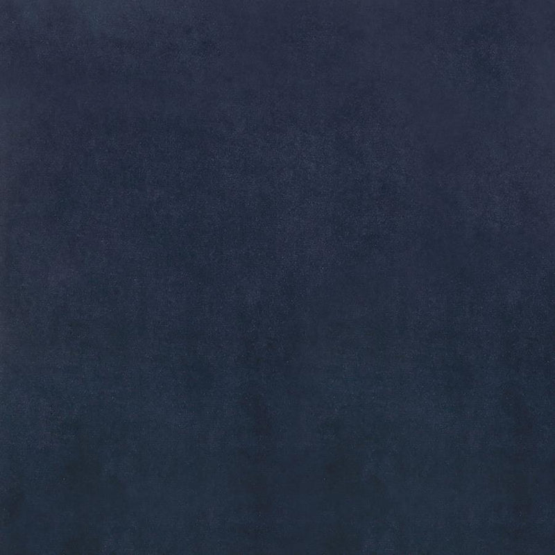 Cisco - Velvet Upholstered Dining Side Chair (Set of 2)