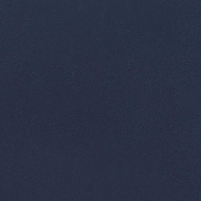 Mayer - Upholstered Dining Arm Chair (Set of 2) - Blue