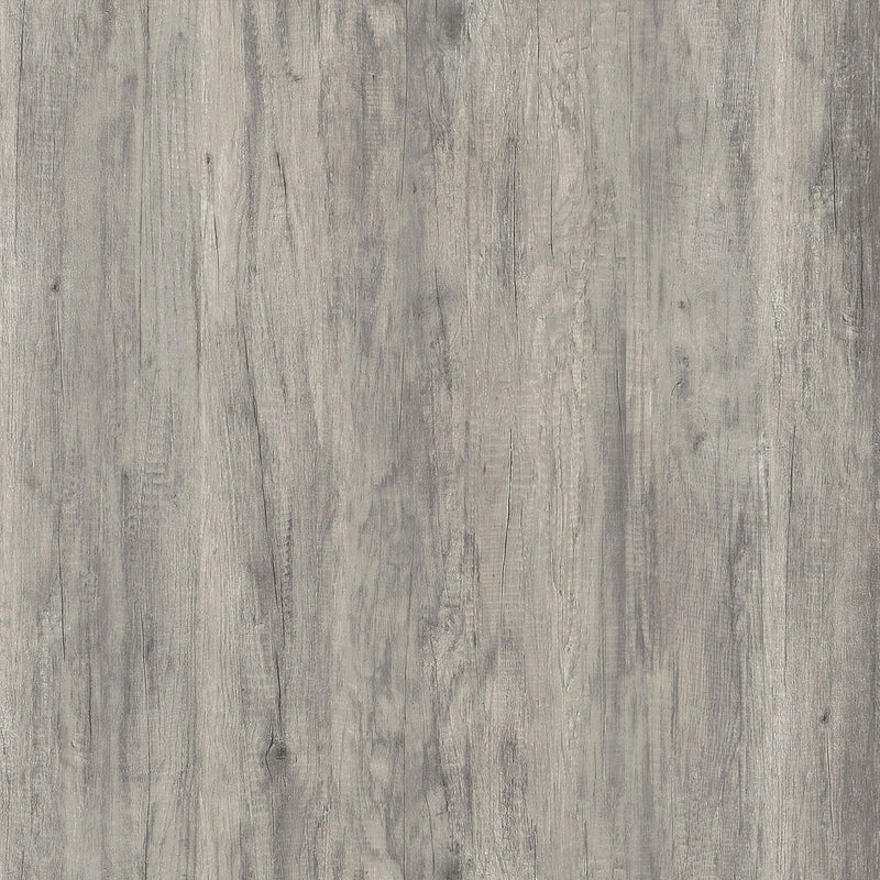Myerson - 2 Door Tall Cabinet - Gray