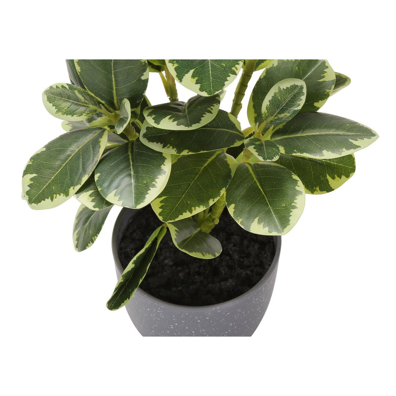 Artificial Ficus Elastica Plant (Set of 2)