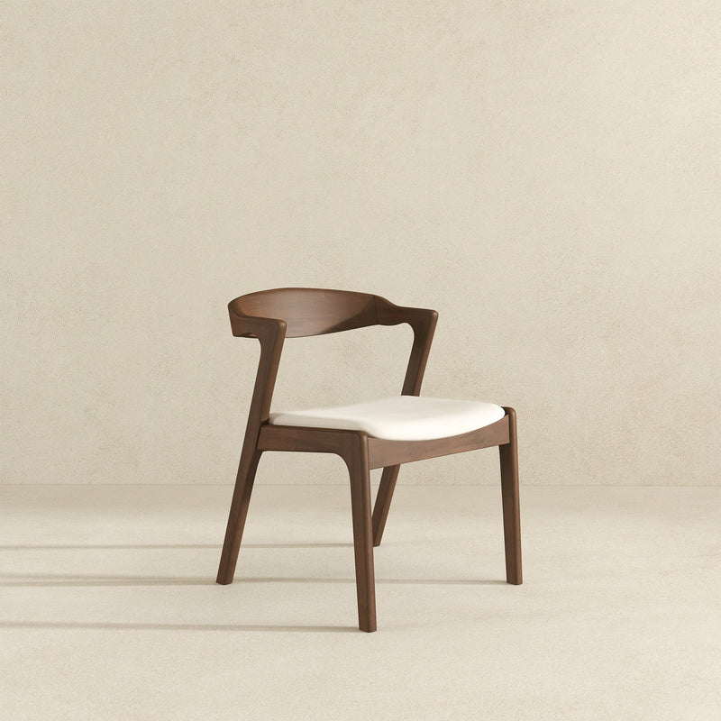 Dakota - Mid-Century Modern Dining Chair (Set of 2)