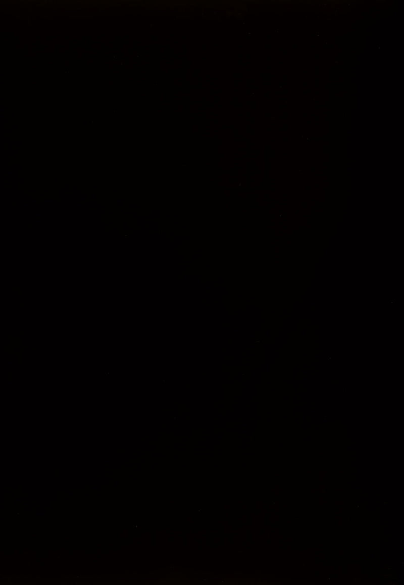 Kimonte - Rectangular Dining Room Table - Dark Brown